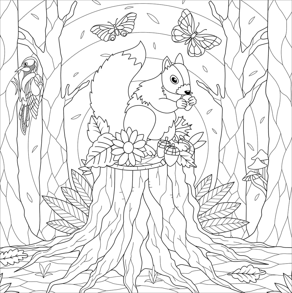 Boho Dreams Adult Coloring Book