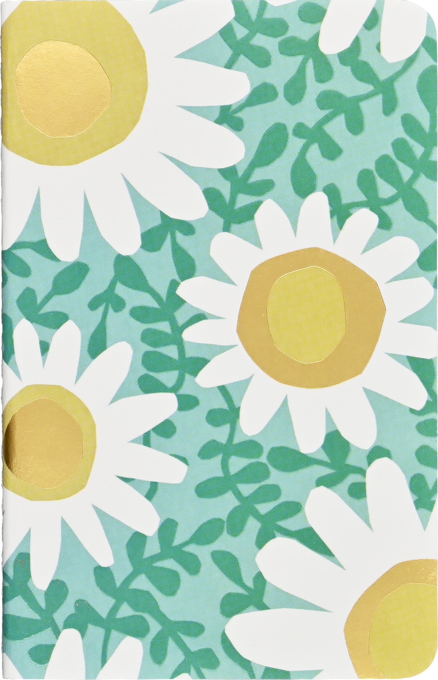 Jotter Mini Notebooks: Daisies