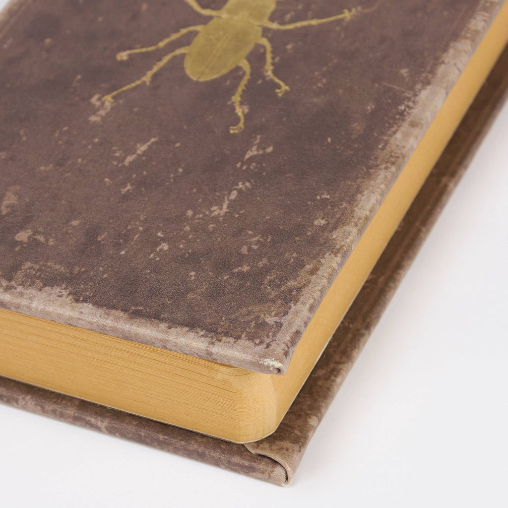 Vintage Beetle Journal