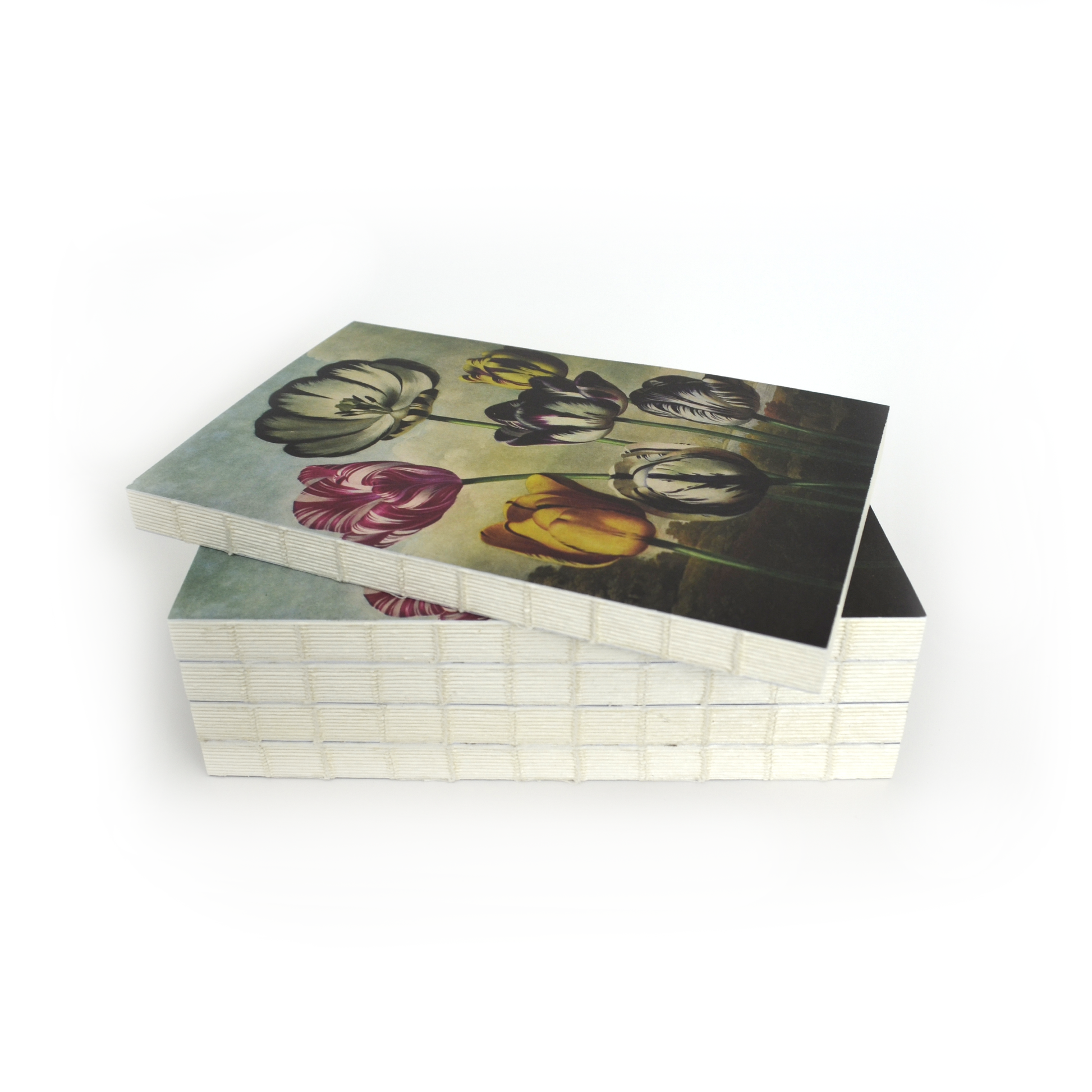 Vintage Botanical Tulips Exposed Coptic Binding Notebook