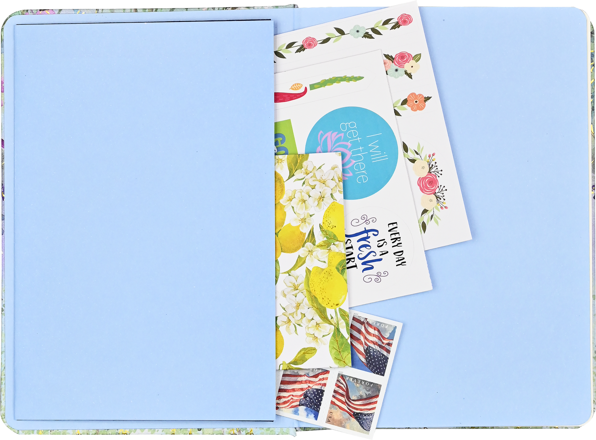 Dragonflies & Dandelions Journal