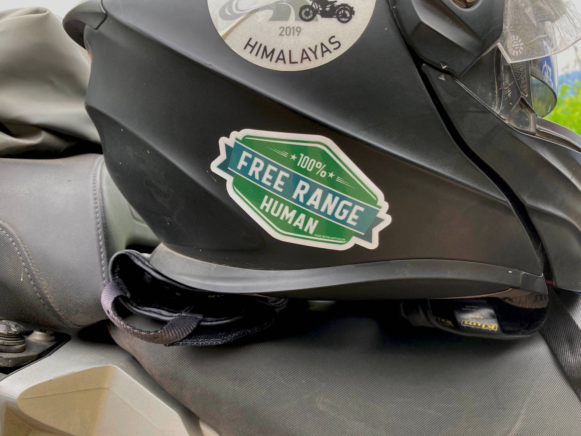 Free Range Human Stickers, Adventure Vinyl Decals