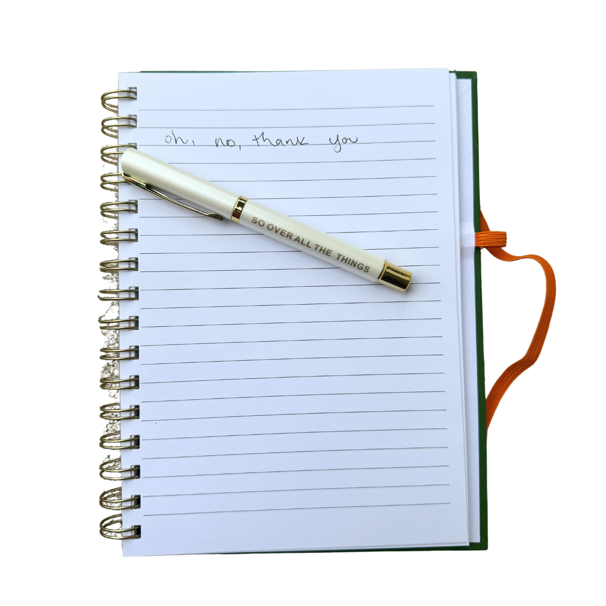 I Don't Want To Journal (funny, gifts, journals, notebook)
