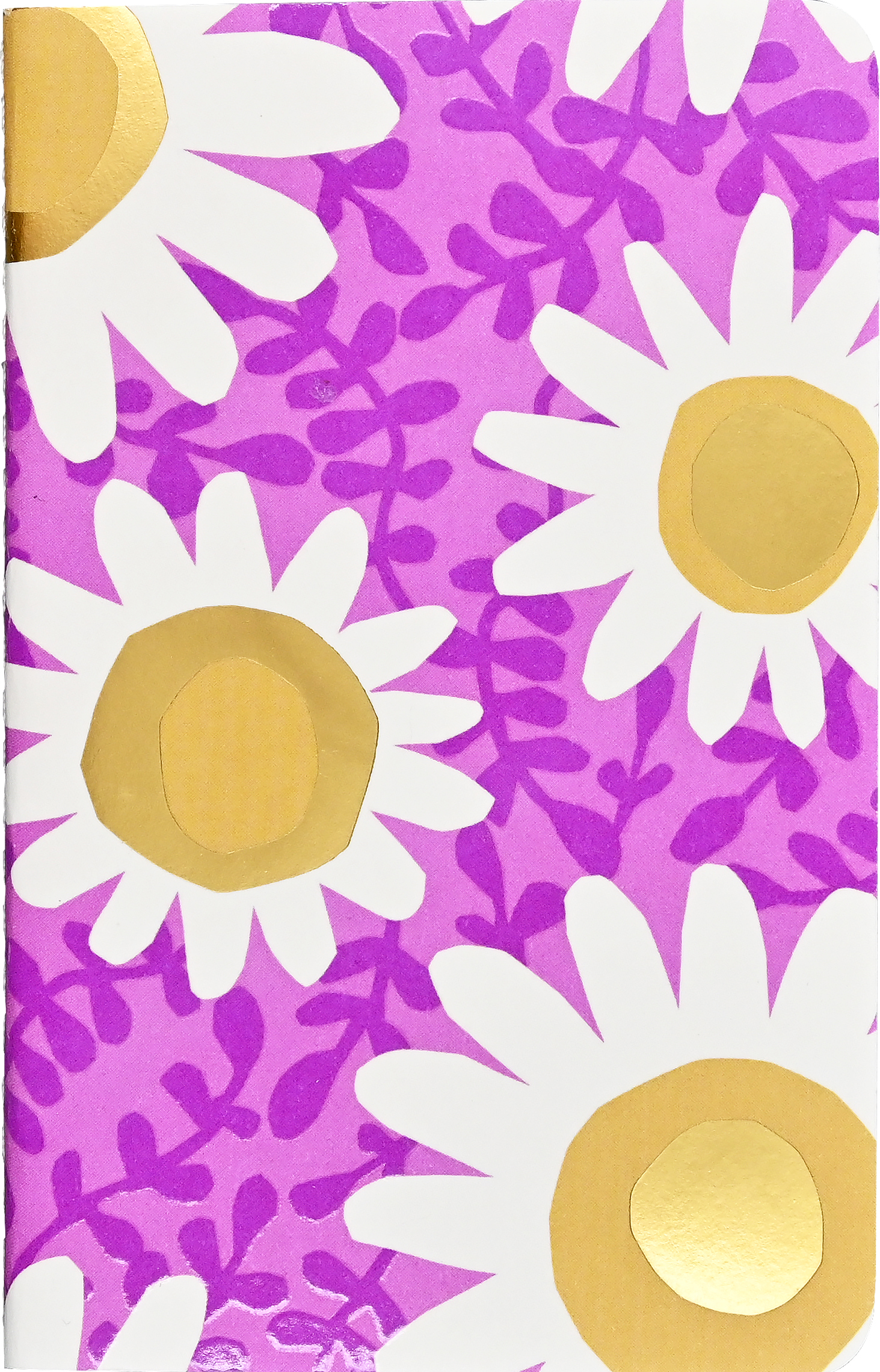 Jotter Mini Notebooks: Daisies