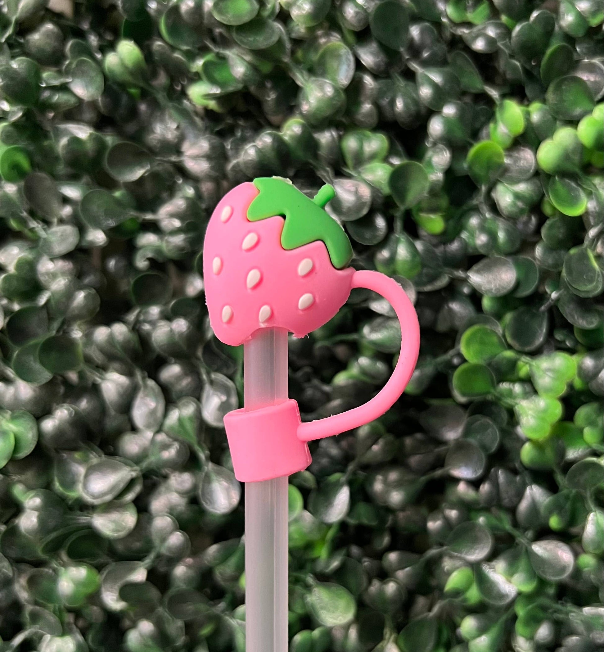 Other Large Straw Toppers