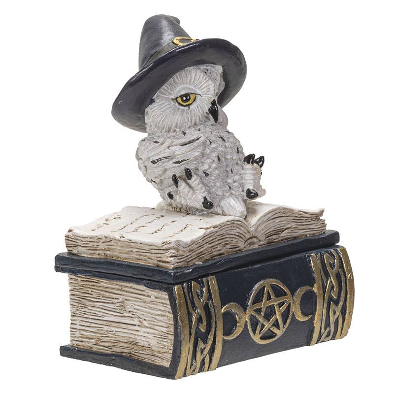 Owl on Spell Book Figurine