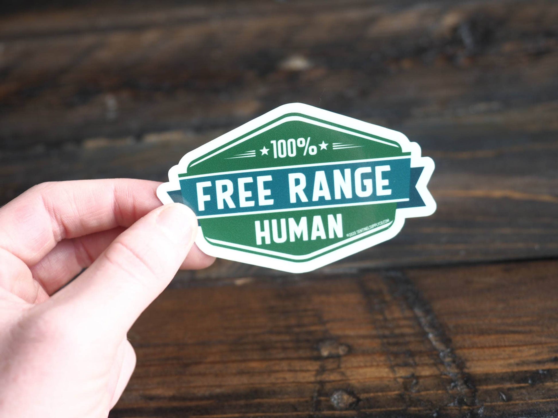 Free Range Human Stickers, Adventure Vinyl Decals
