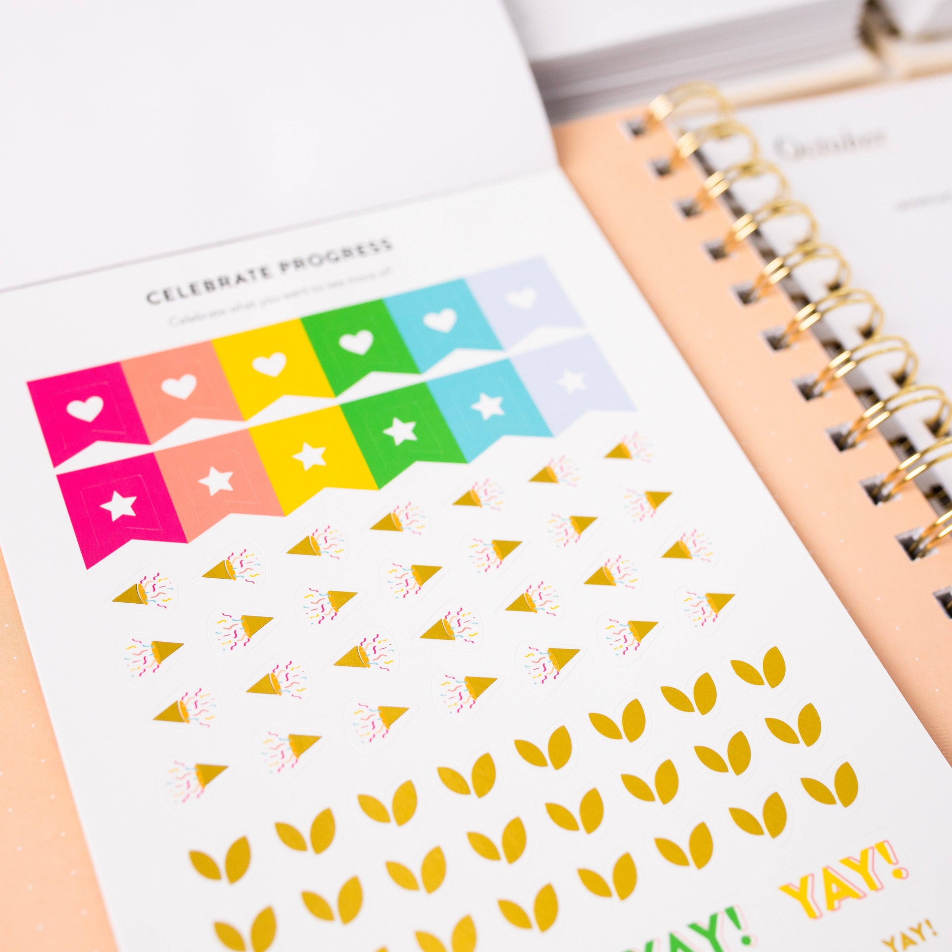 Goal Setting Sticker Book - Painted Flower Stickers