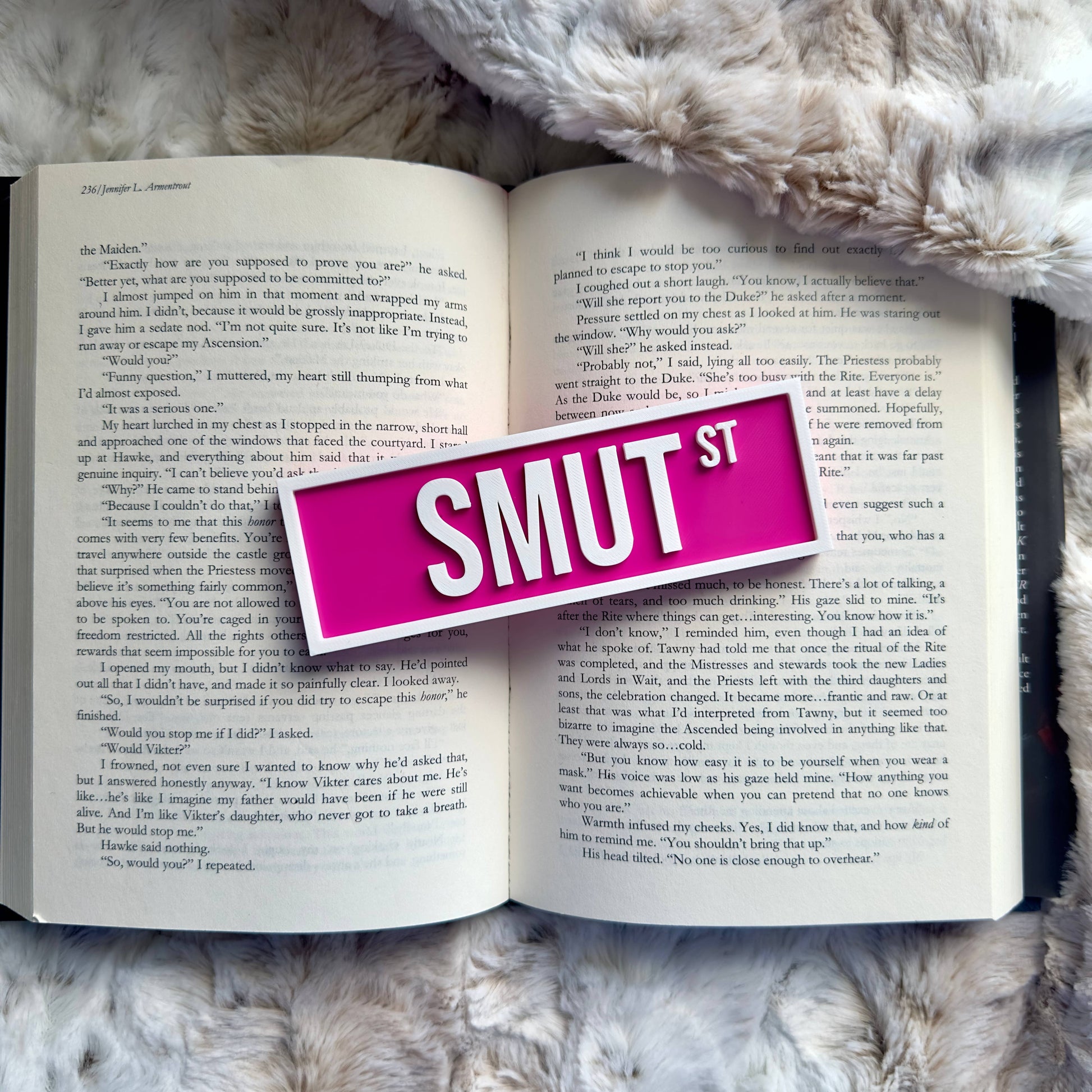 Smut Street Sign | Bookshelf Decor