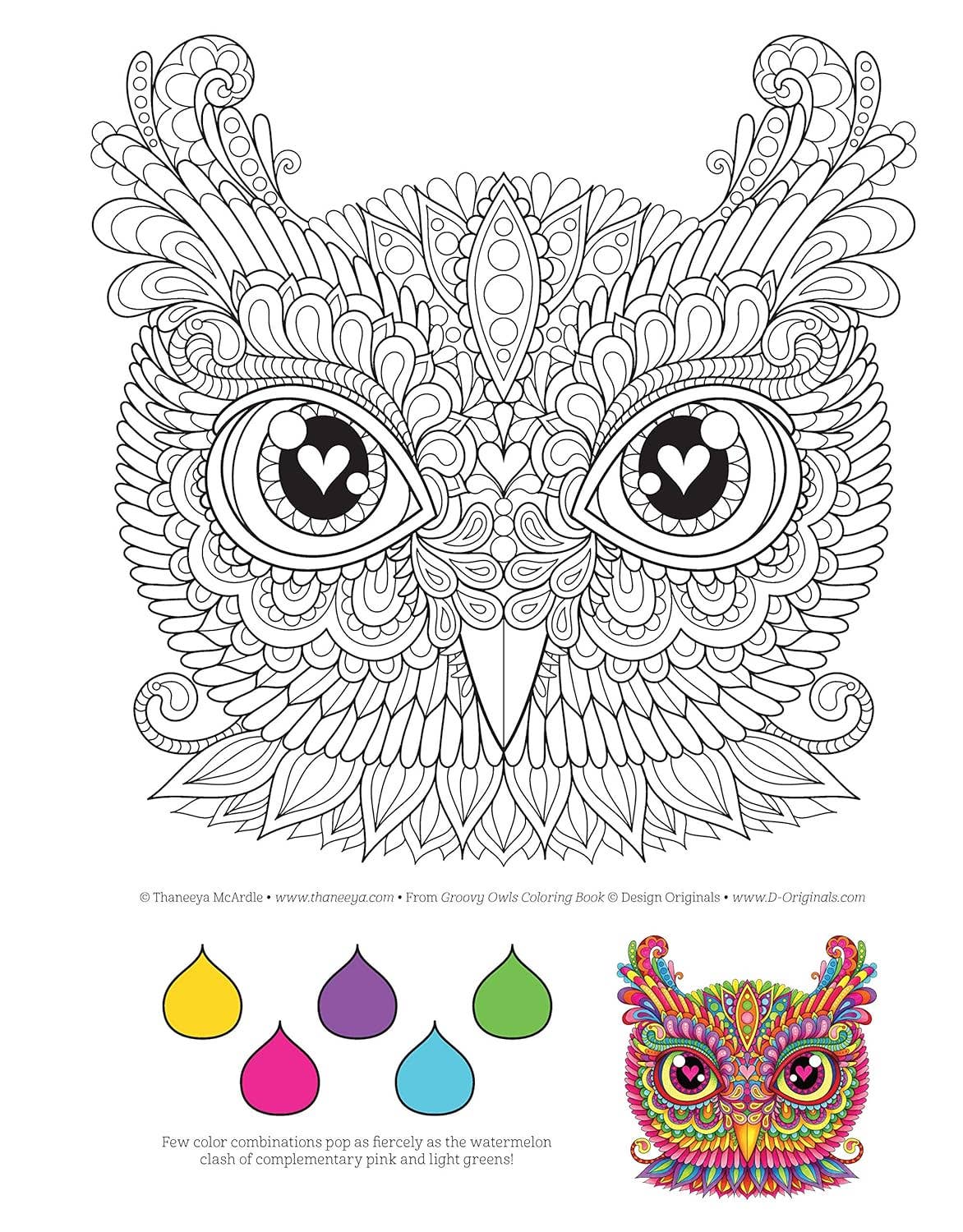 Groovy Owls Coloring Book