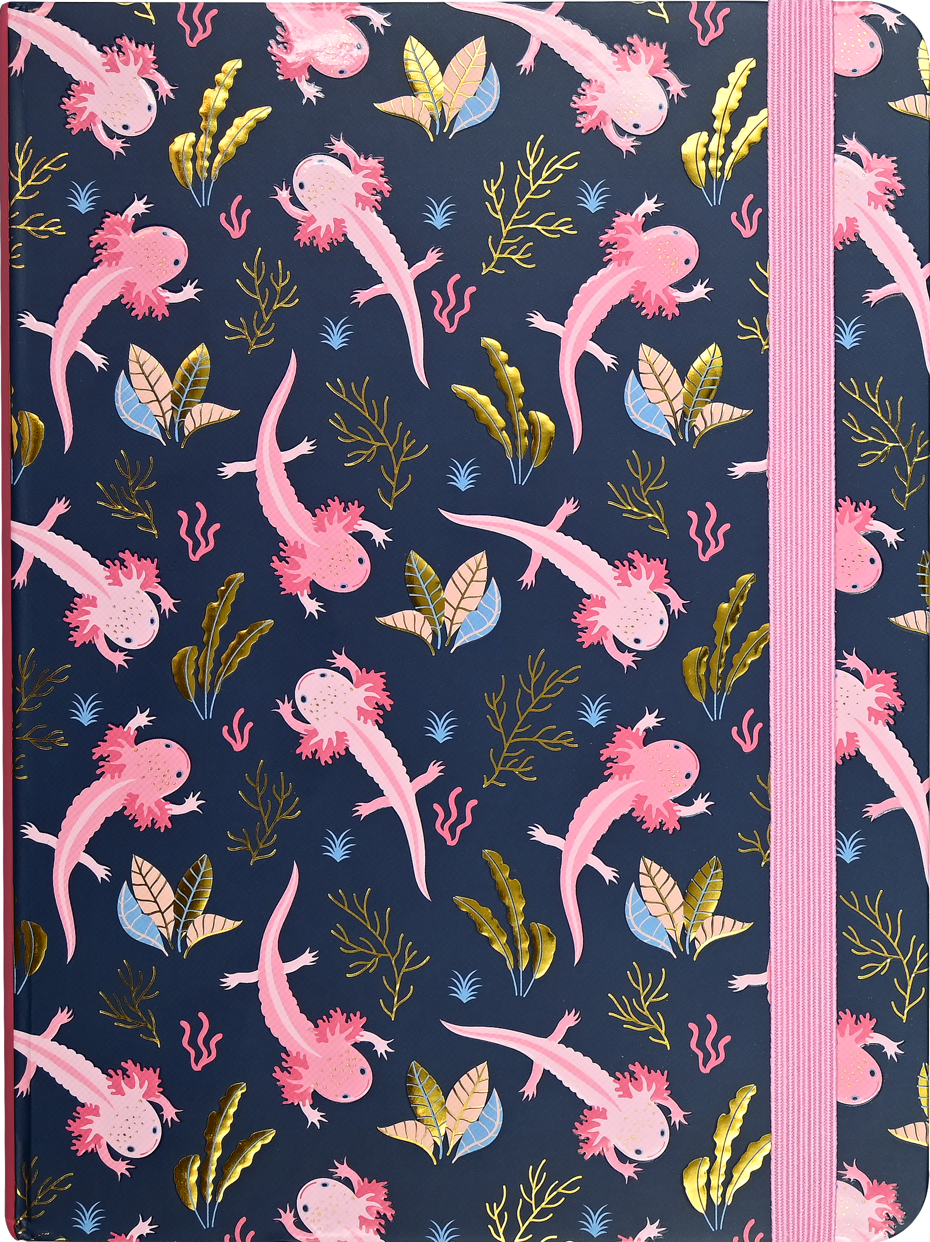 Axolotls Journal