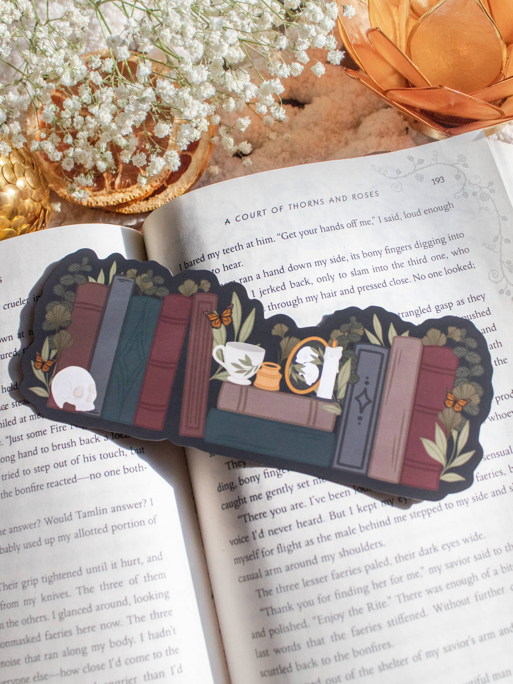 Dark Academia Bookshelf Bookmark  | Soft Touch