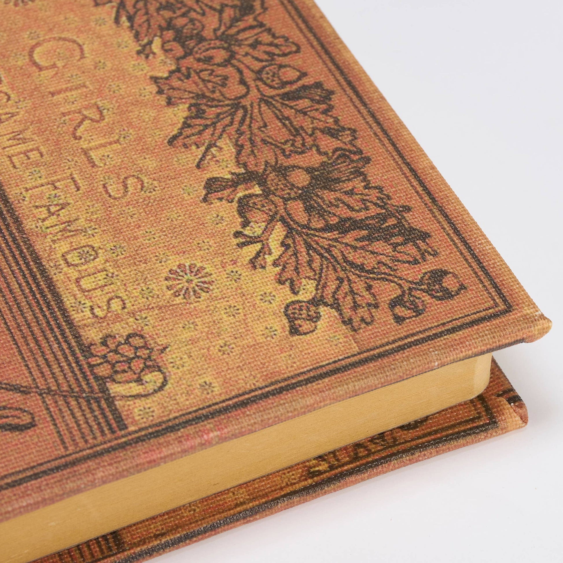 Famous Girls Journal