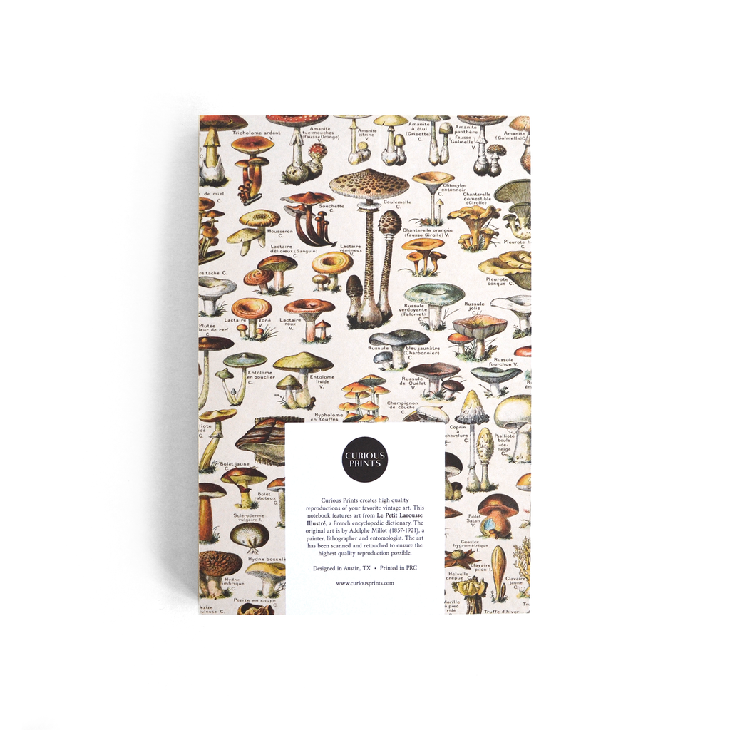 Vintage Tan Mushroom Exposed Coptic Binding Notebook Journal