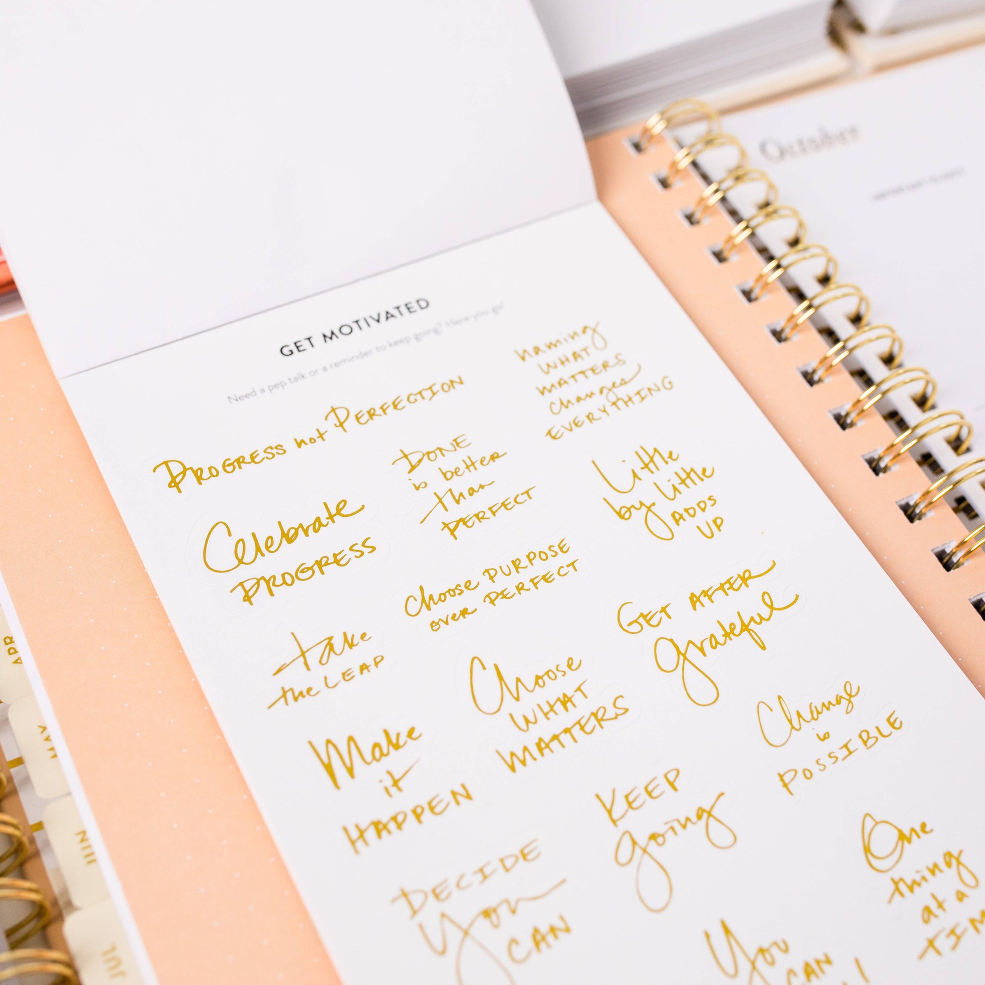 Goal Setting Sticker Book - Painted Flower Stickers