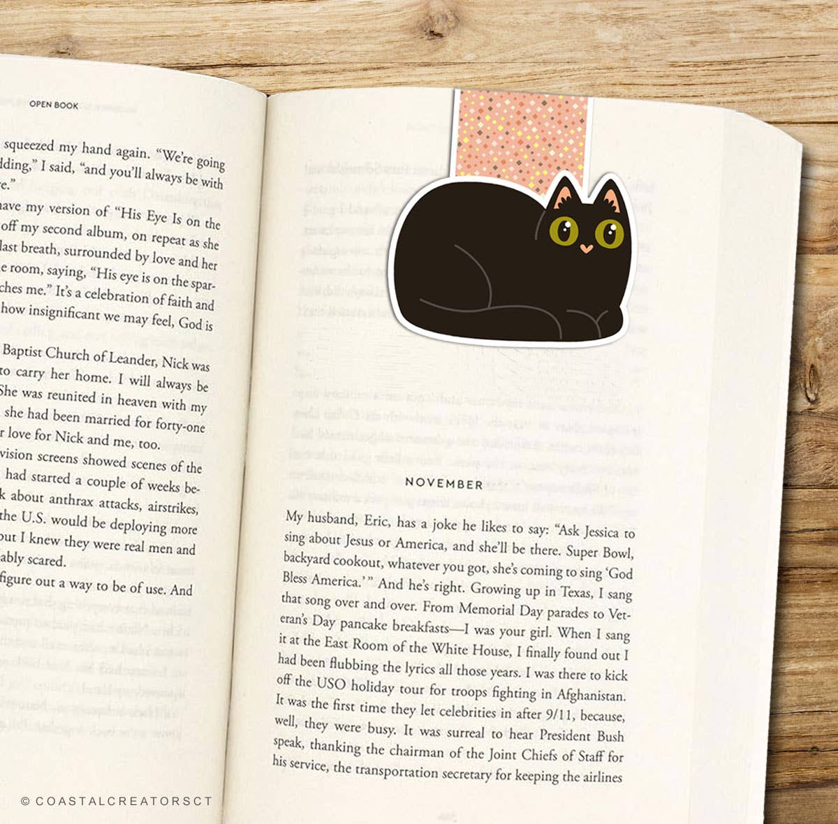 Black Cat Green Eyes Reversible Magnetic Bookmark (Packaged)