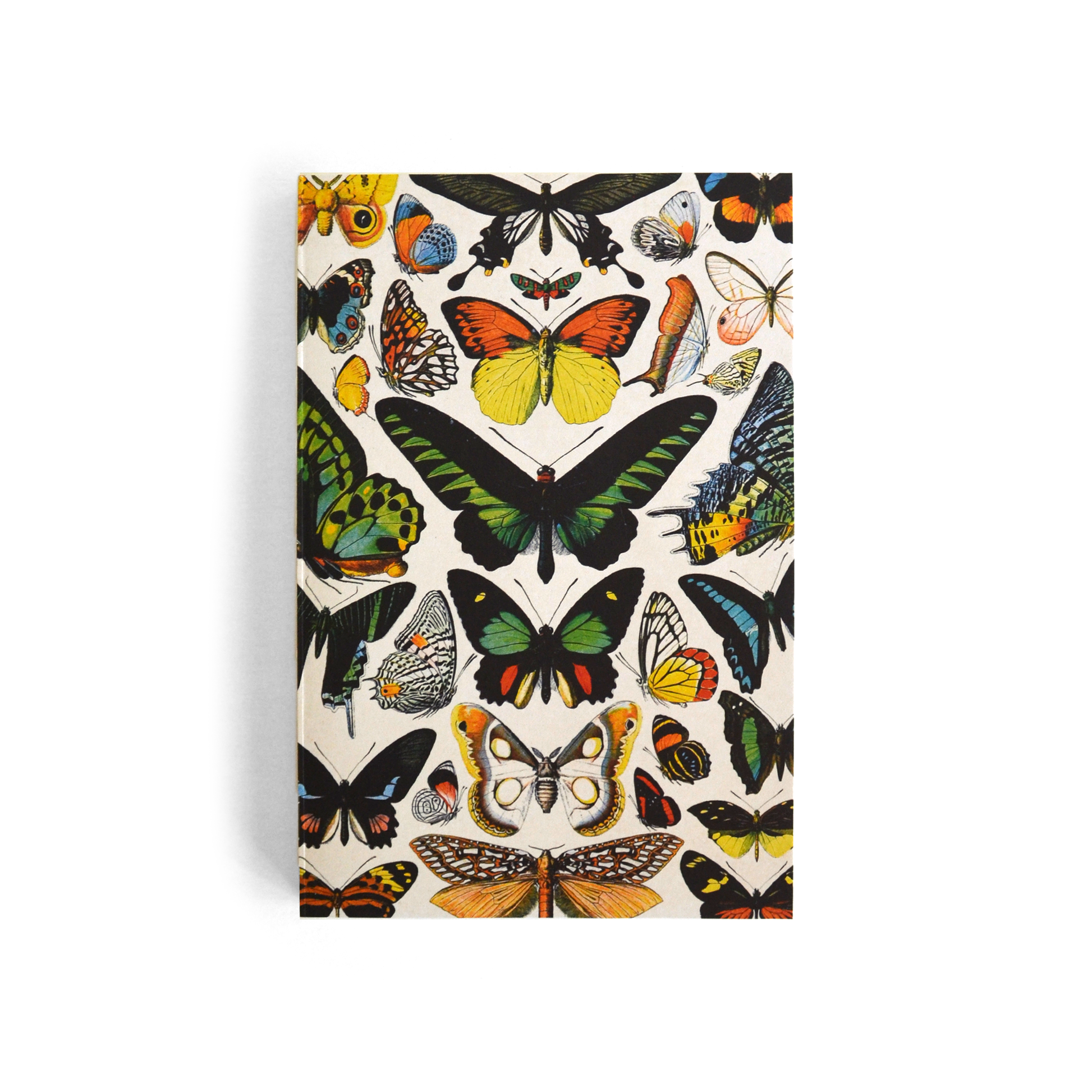 Vintage Butterfly Exposed Coptic Binding Notebook
