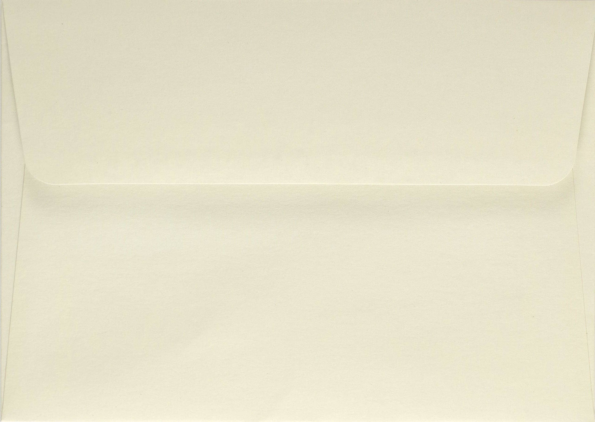 Falling Blossoms Note Cards