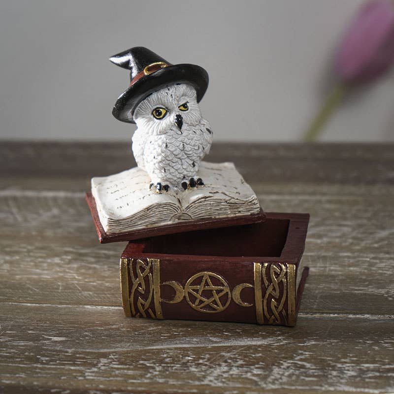 Owl on Spell Book