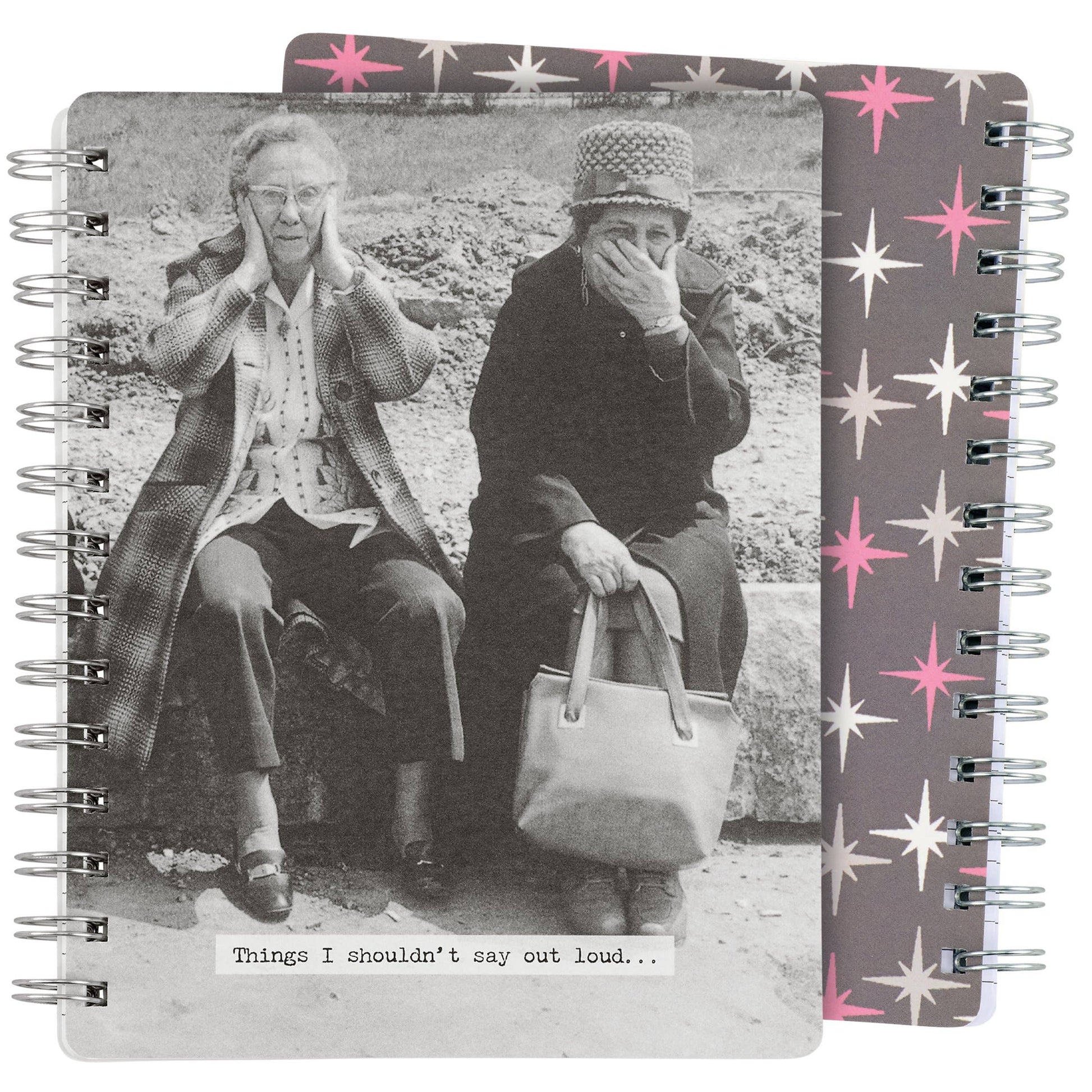 Things I Shouldn't Say Out Loud Spiral Notebook