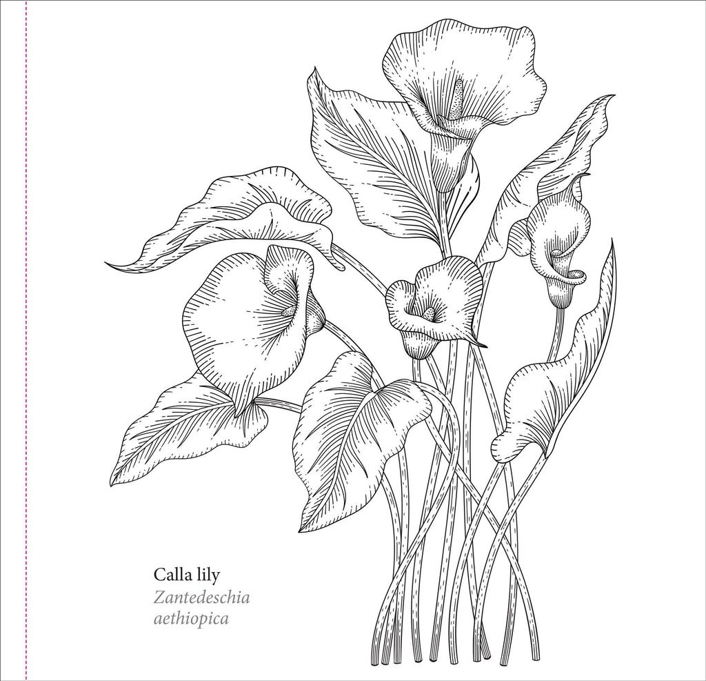Spring Blooms Artist's Coloring Book