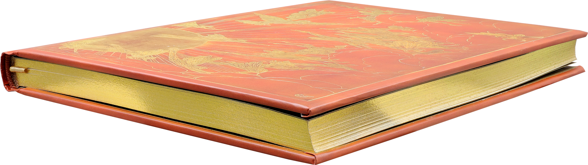 Orange Fairy Journal
