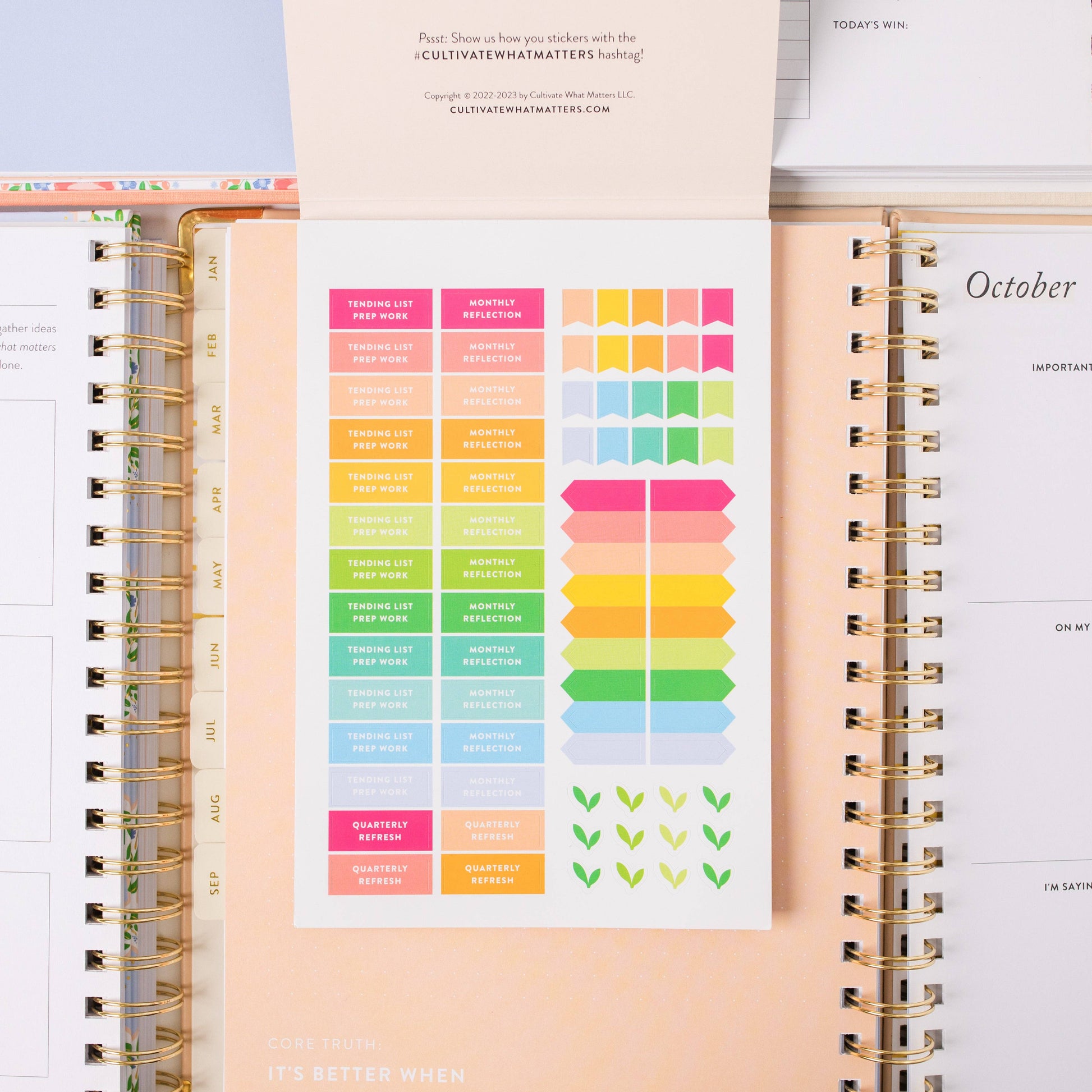 Goal Setting Sticker Book - Painted Flower Stickers
