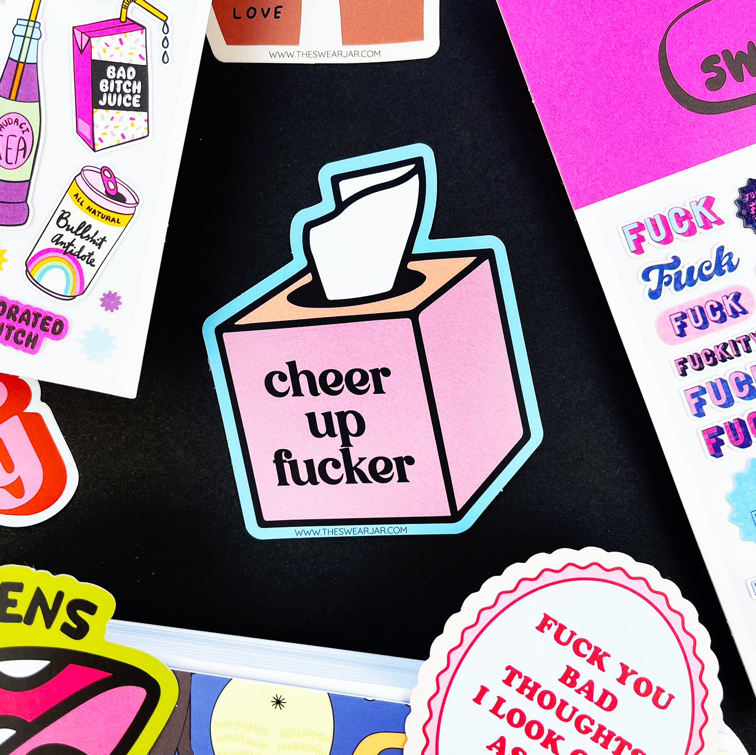 Cheer Up Fucker Vinyl