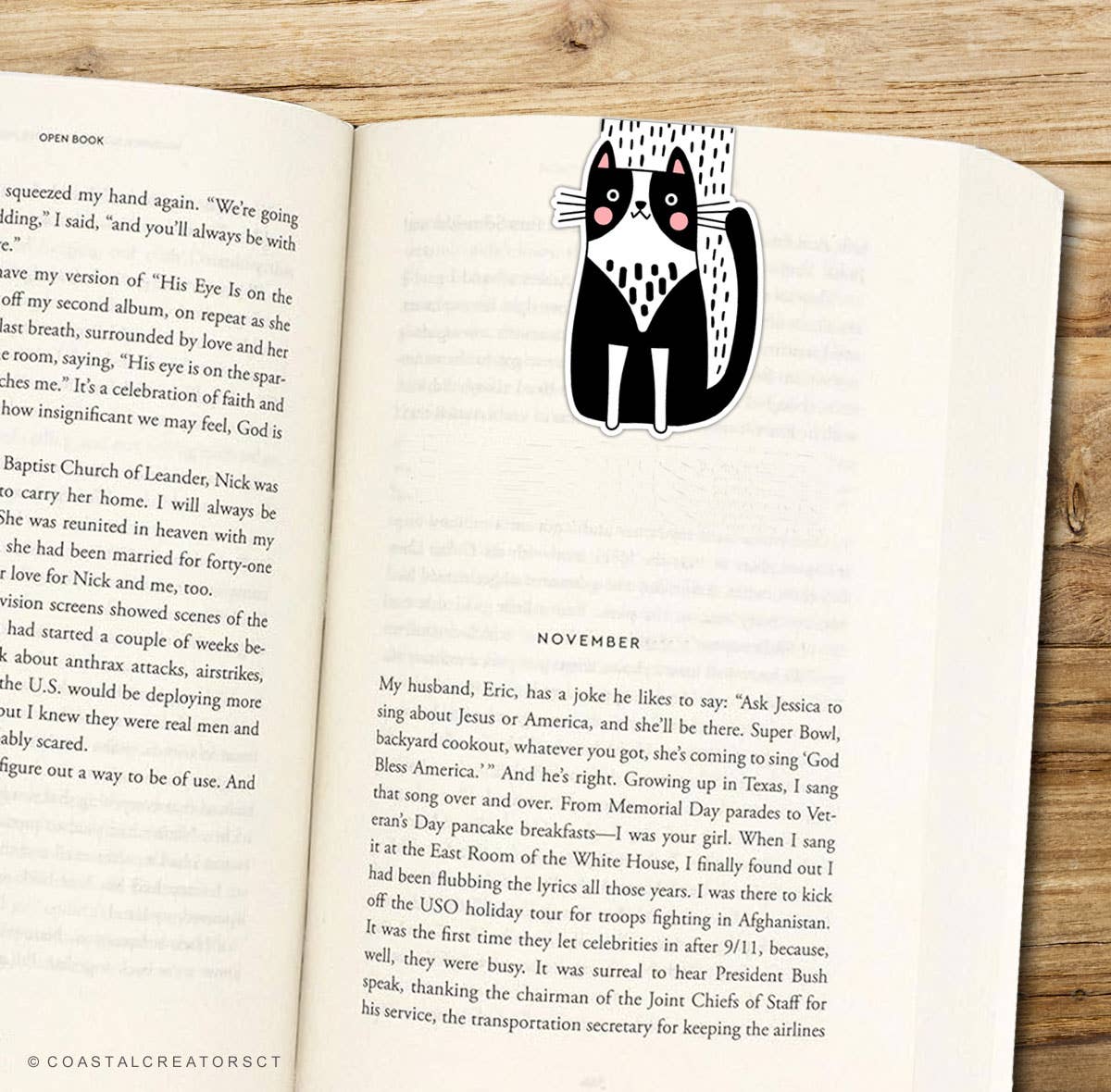 Cats Journal with Matching Magnetic Bookmark Set (Packaged)