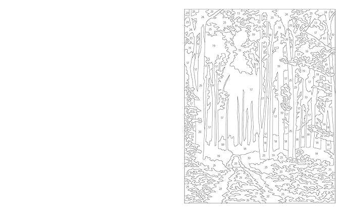 Large Print Meditation Color By Numbers