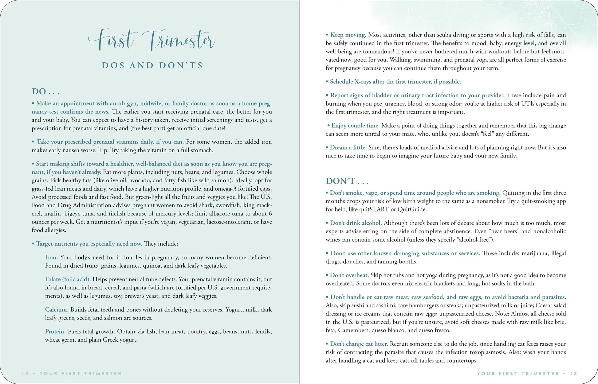 Pregnancy Journal