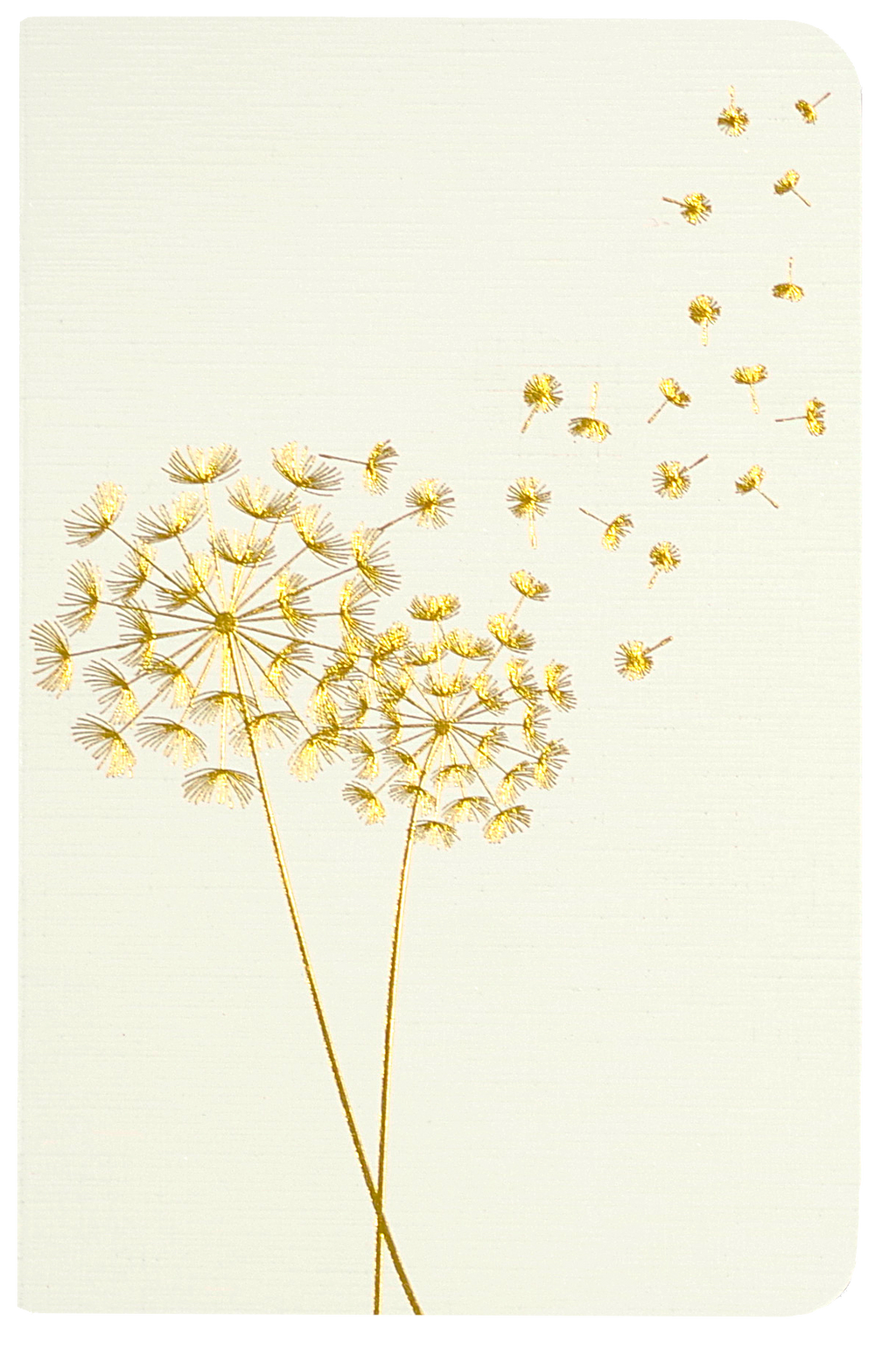 Jotter Mini Notebook Set: Dandelion Wishes
