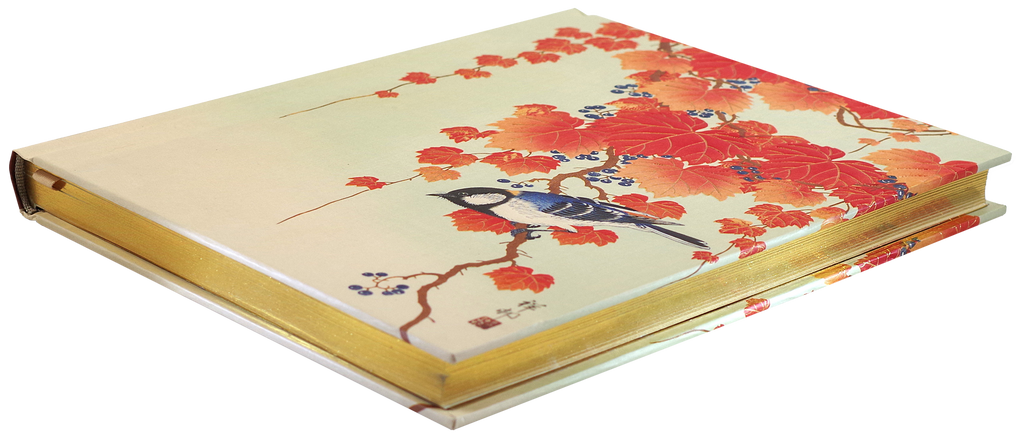 Bird and Red Ivy Journal