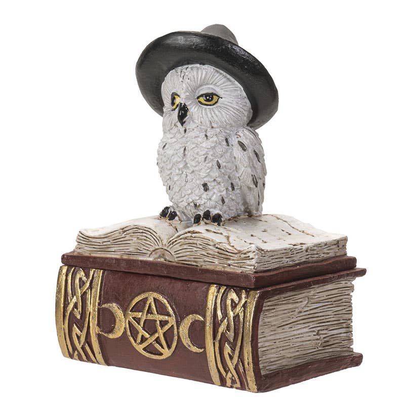 Owl on Spell Book