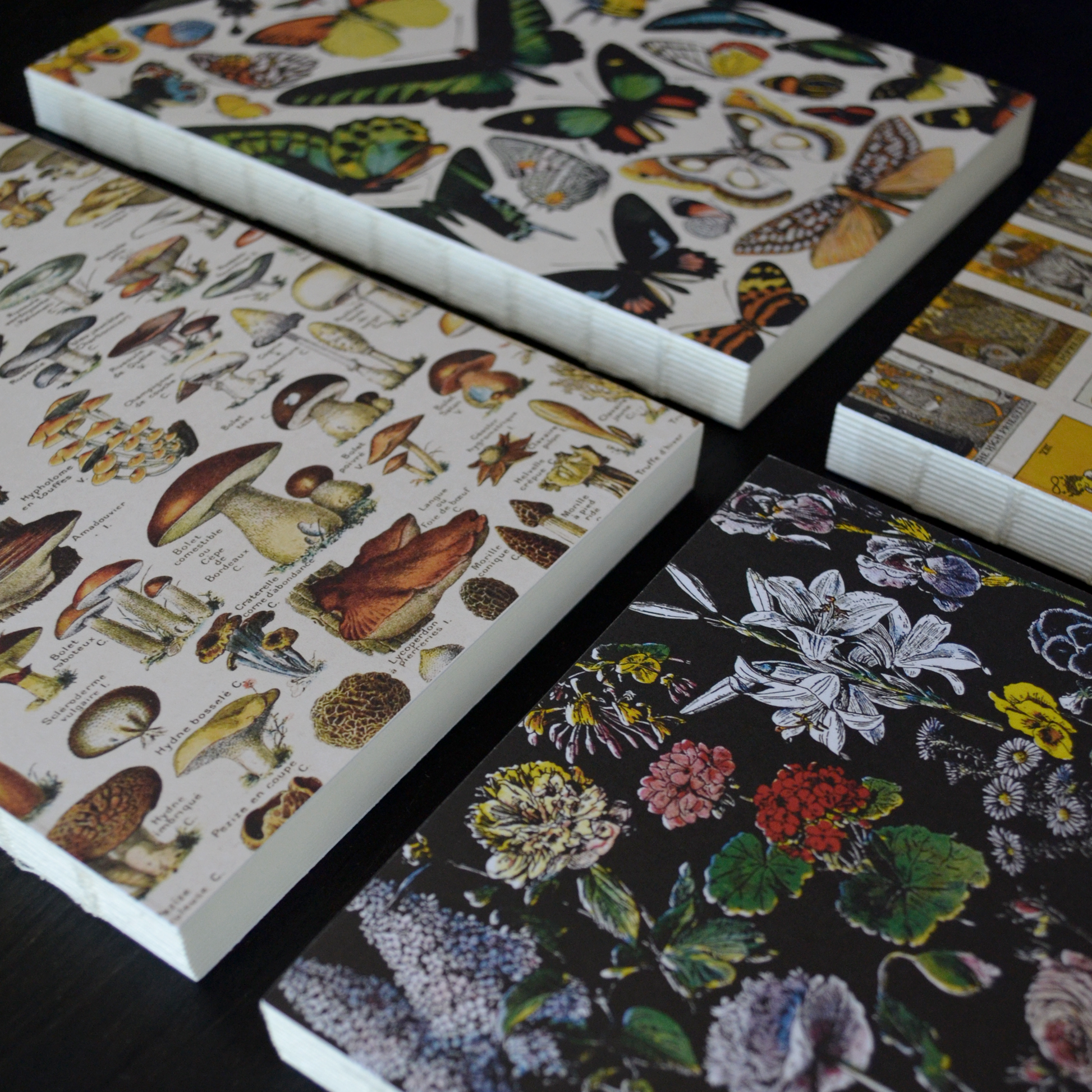 Vintage Butterfly Exposed Coptic Binding Notebook