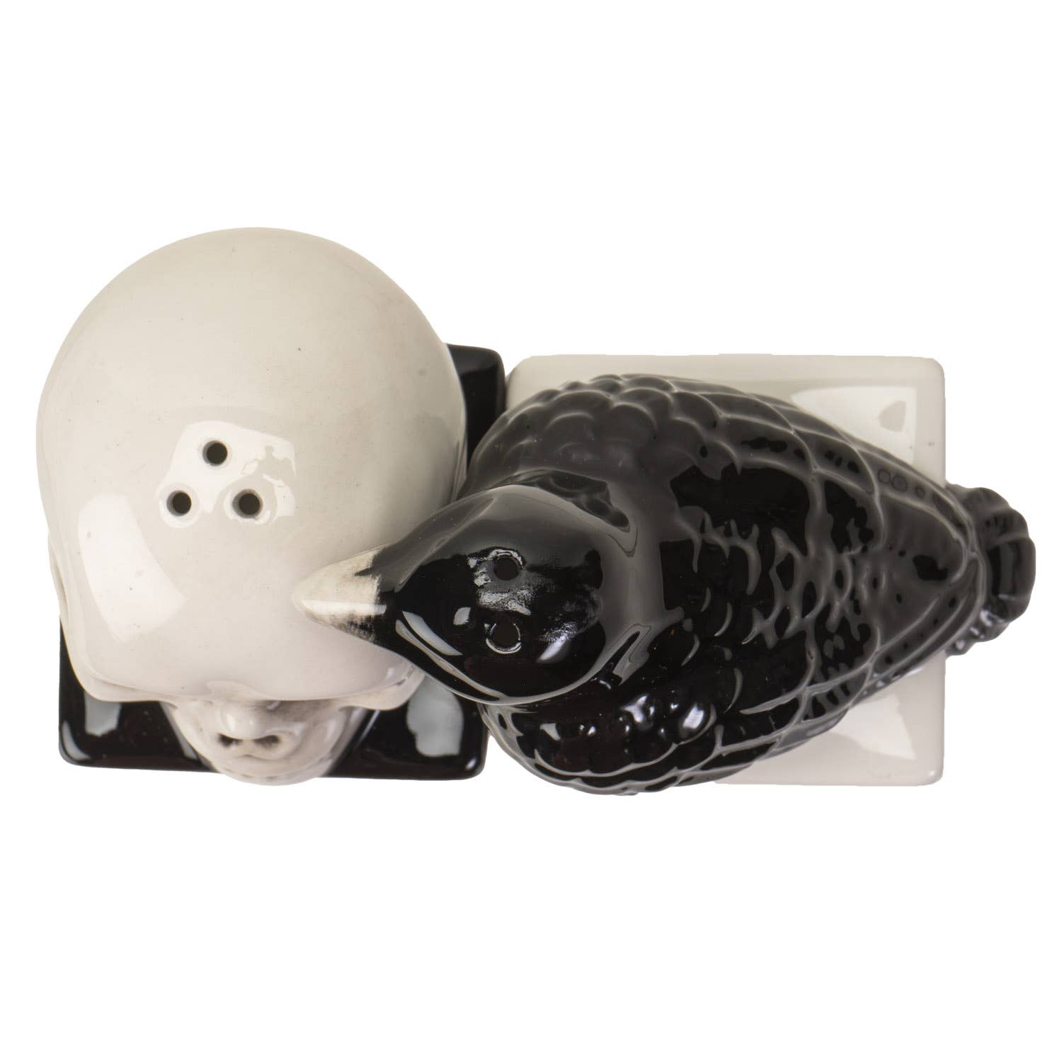 Quoth the Raven Edgar Allen Poe Salt and Pepper Shaker Set