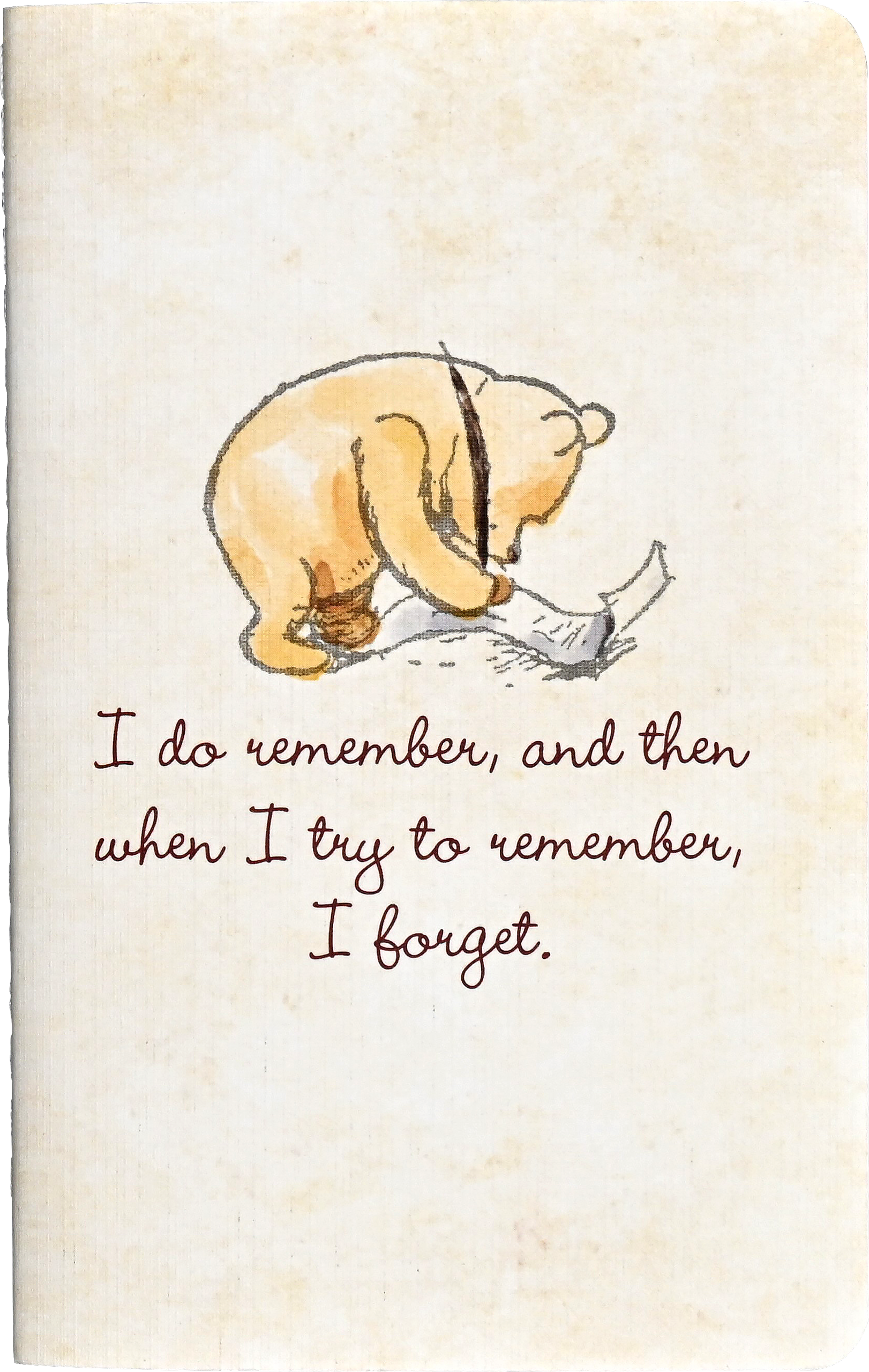 Winnie-the-Pooh Jotter Notebooks