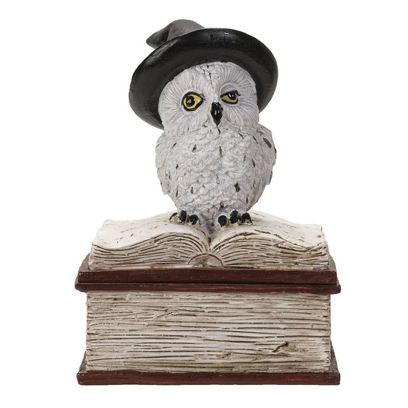 Owl on Spell Book