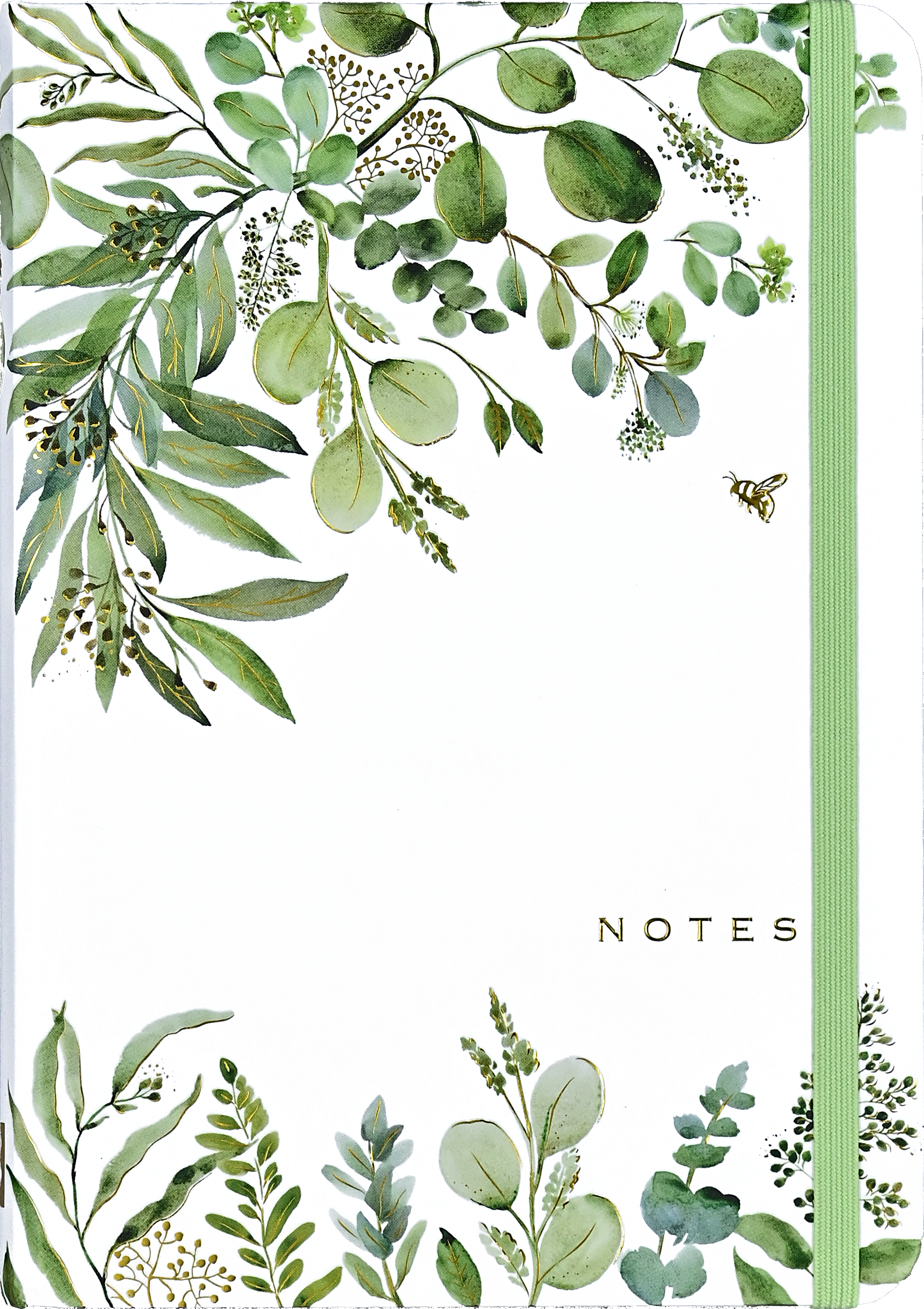 Eucalyptus Journal
