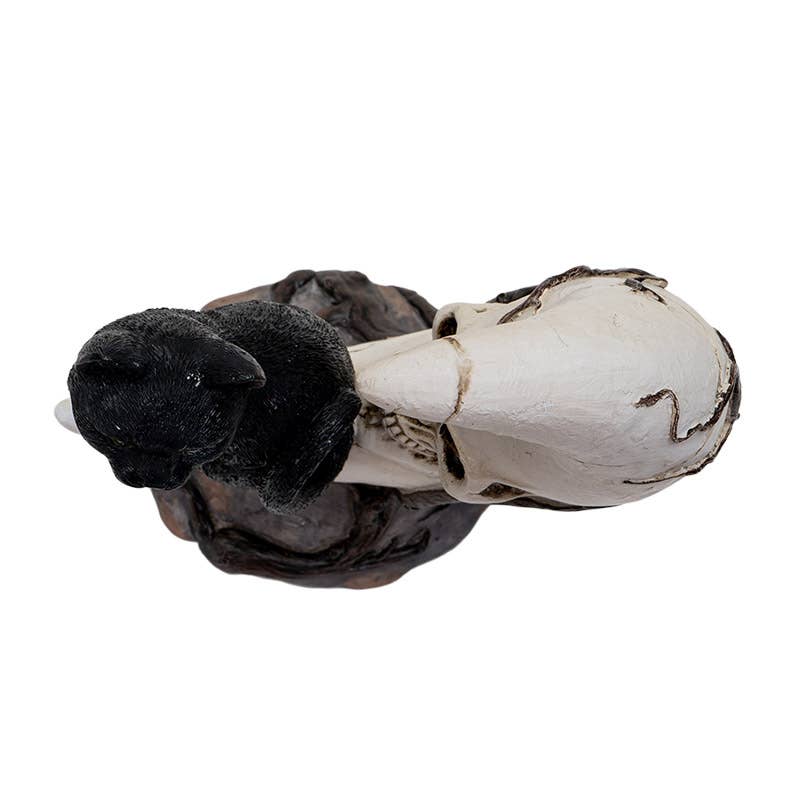 Black Cat on Moon Skull
