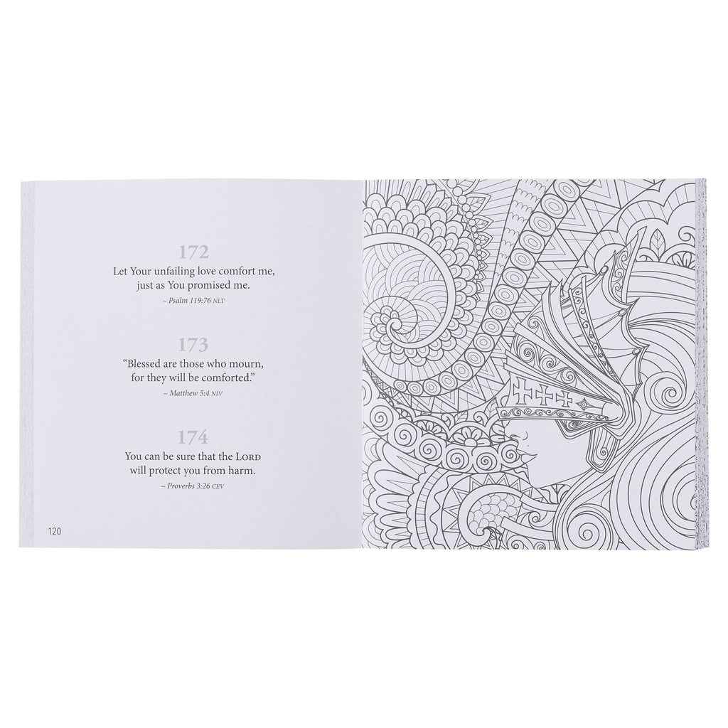 365 Promises from God to Color