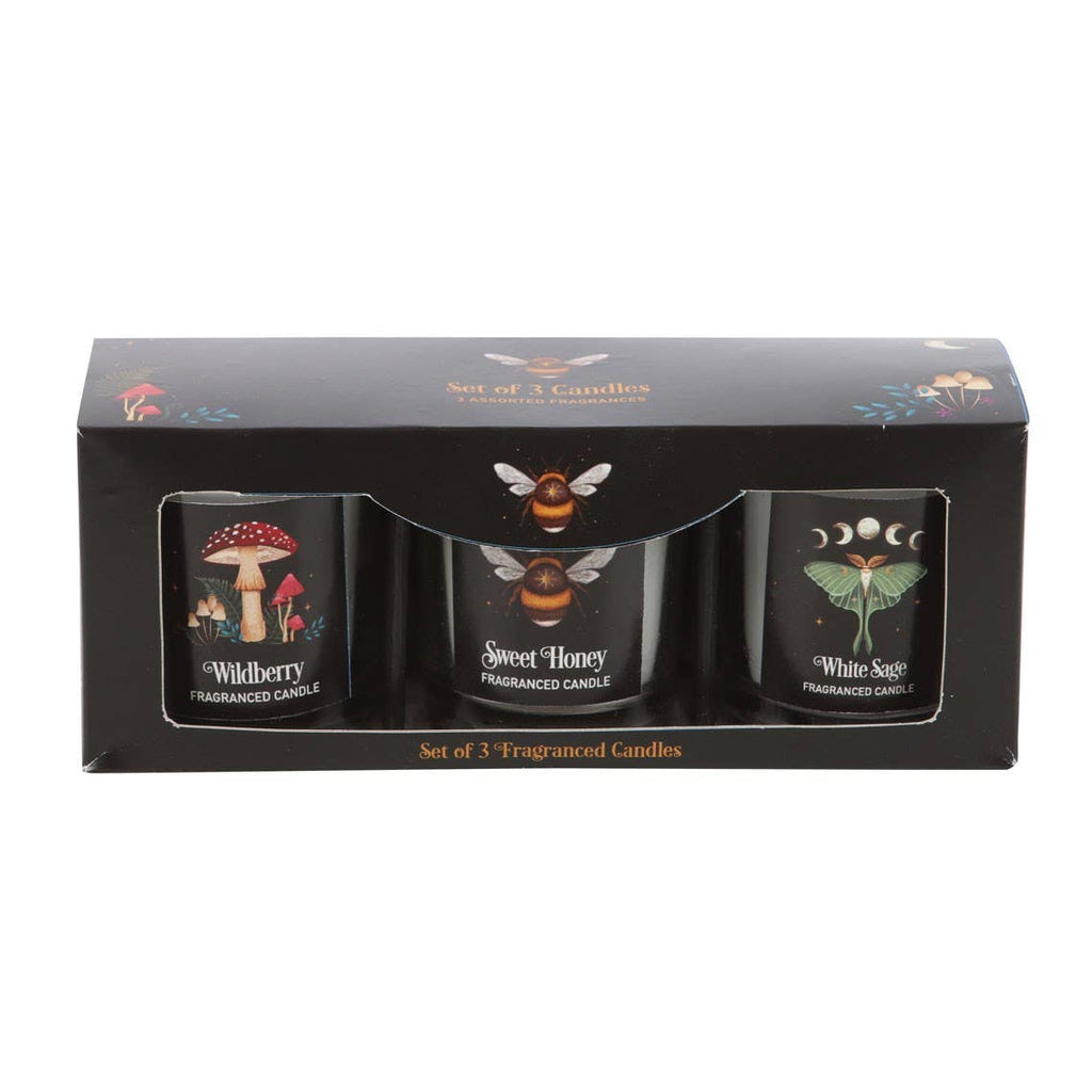 Dark Forest Votive Candle Trio Set