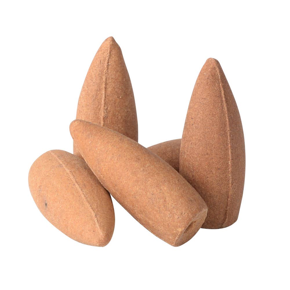 Palo Santo Backflow Incense Cones (24pk)
