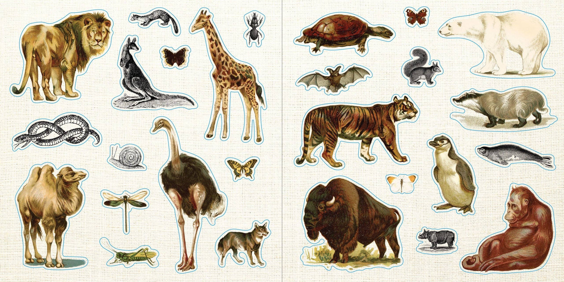 Loads of Ephemera! Sticker Book