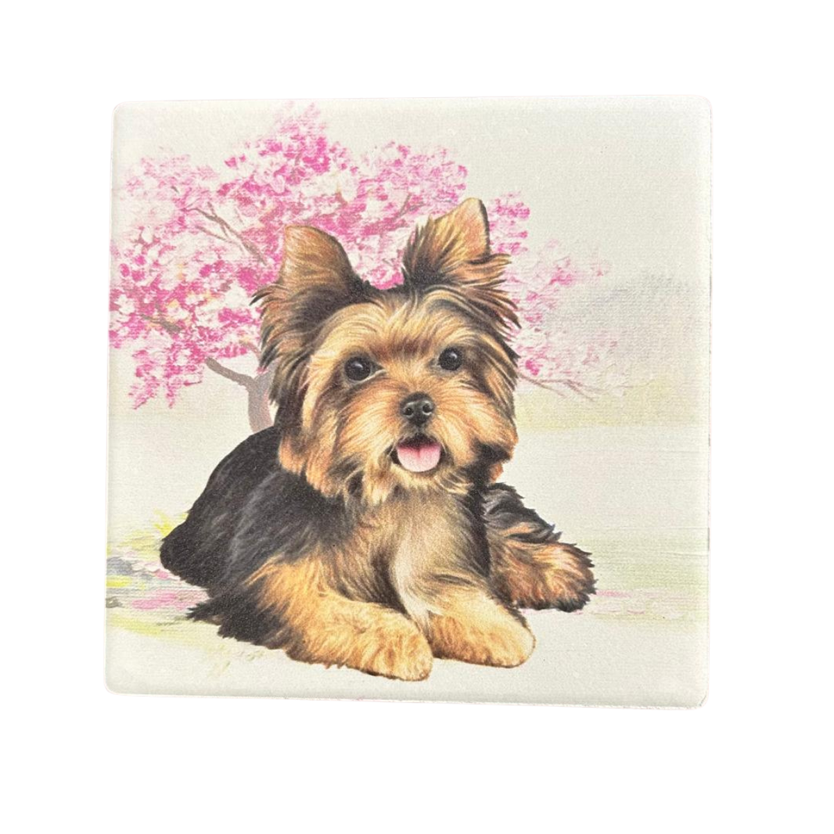 Yorkie  puppy Square Coaster