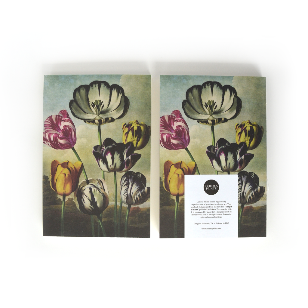 Vintage Botanical Tulips Exposed Coptic Binding Notebook