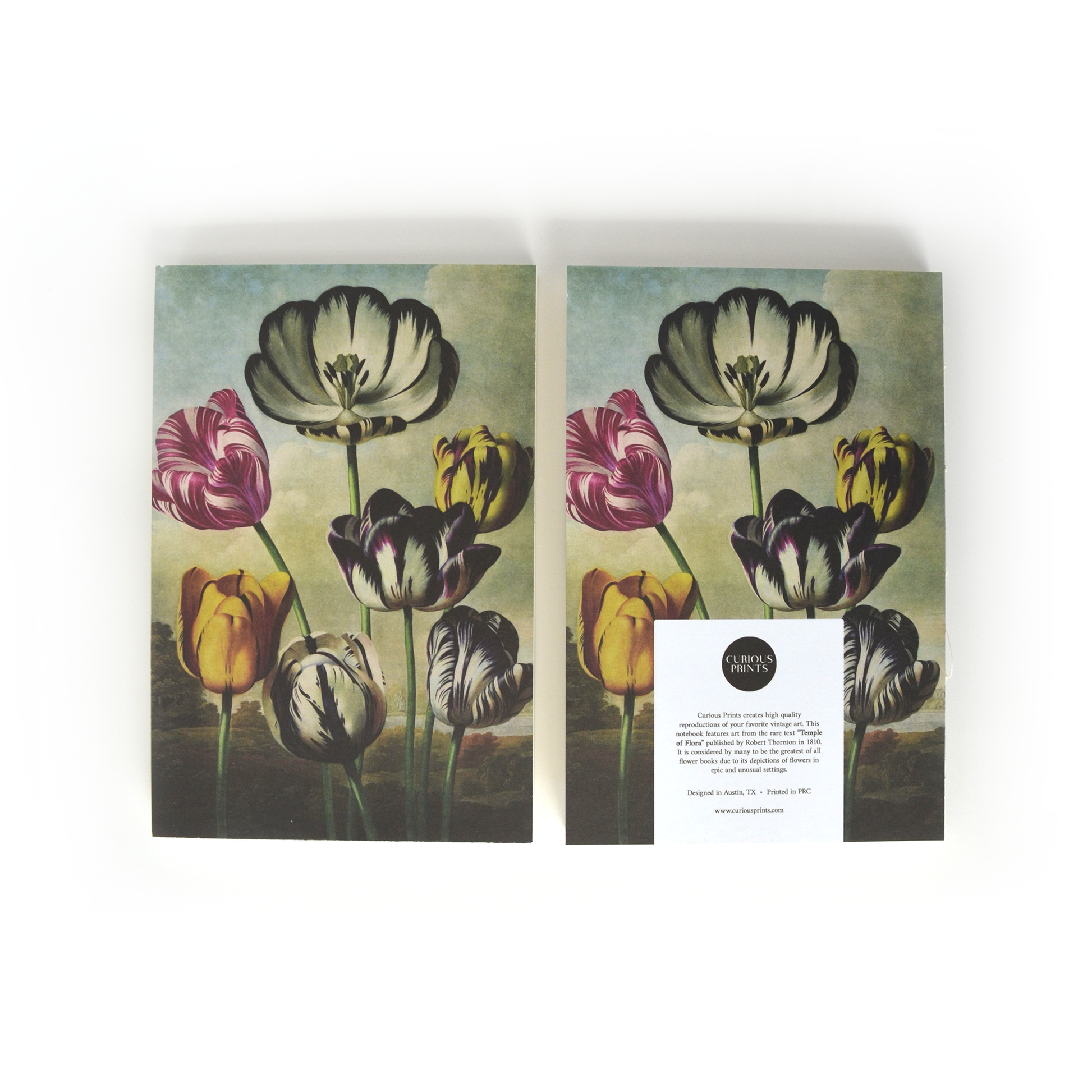 Vintage Botanical Tulips Exposed Coptic Binding Notebook
