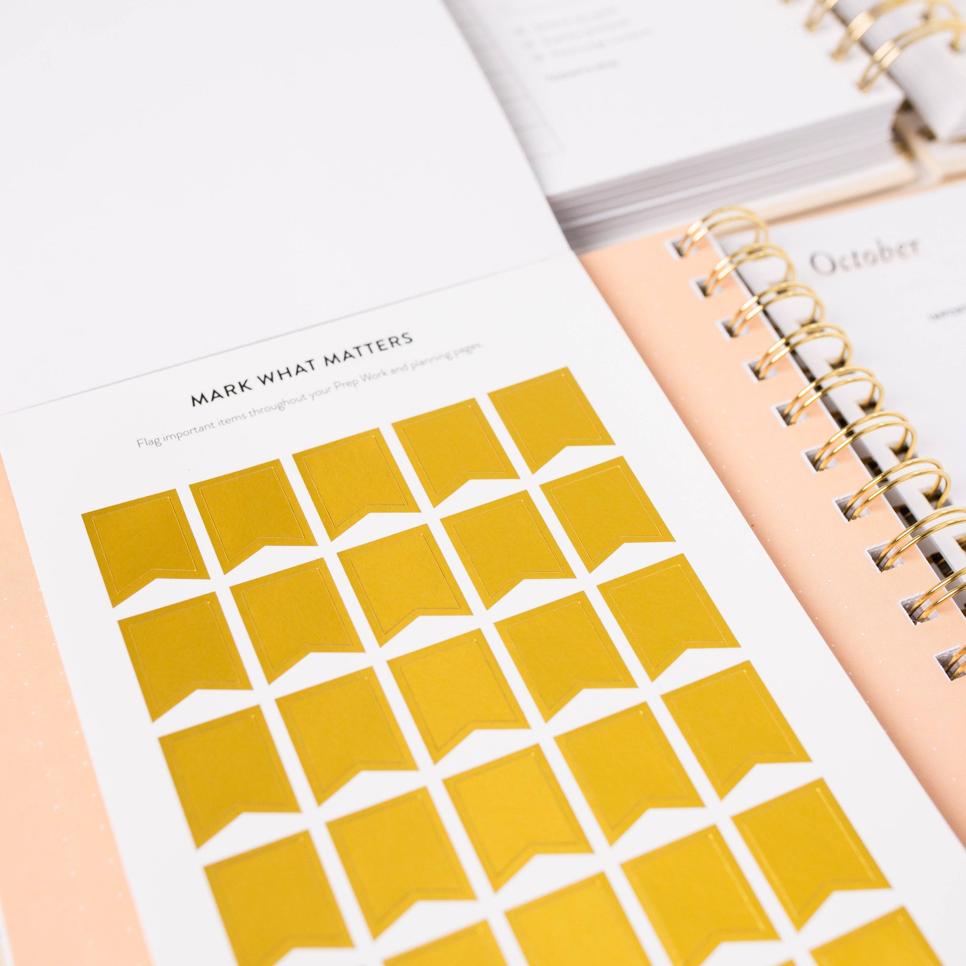 Goal Setting Sticker Book - Painted Flower Stickers