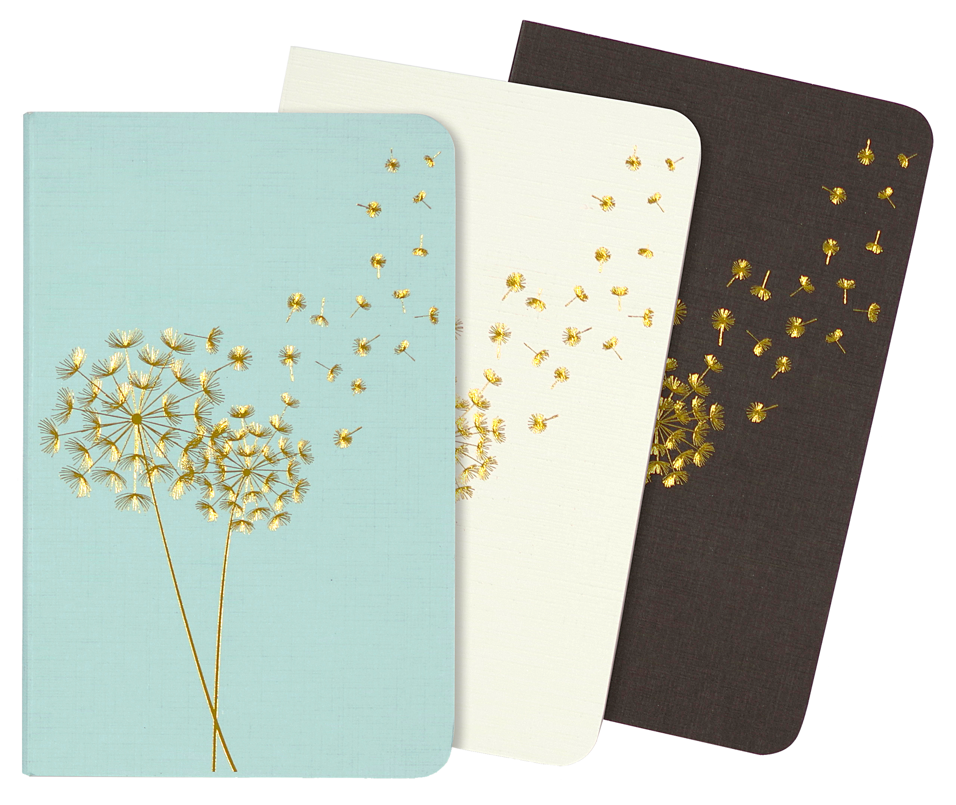 Jotter Mini Notebook Set: Dandelion Wishes