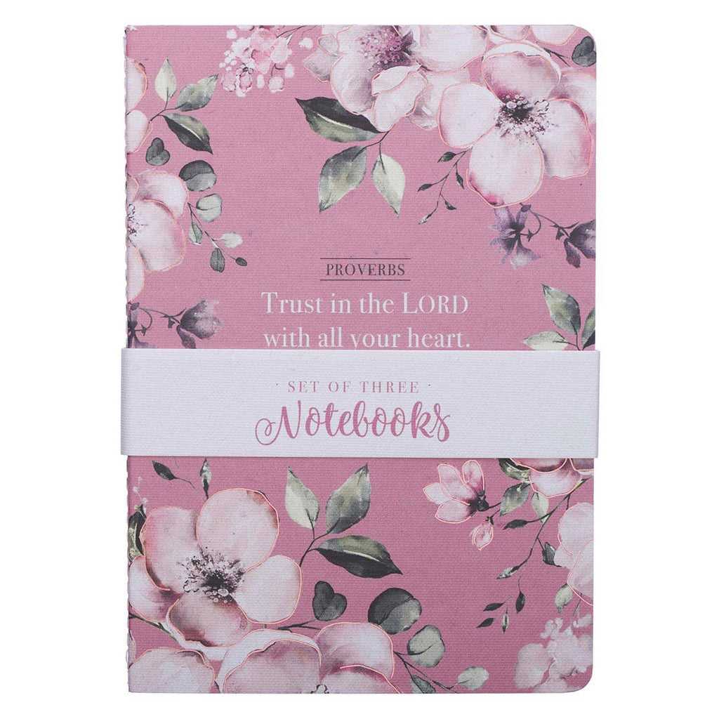Notebook Set 3pc MD Pink, White Prov. 3:5, Gray